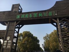 -溱湖国家湿地公园