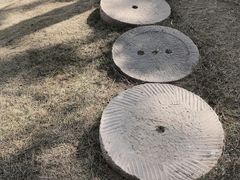 -中国唐苑