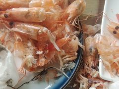 -鲁前海沿儿
