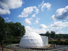 -莲花山花海
