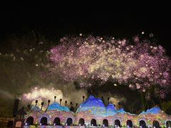 -花博汇(知音花月夜)