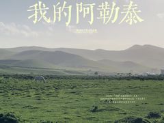 -丰宁坝上草原