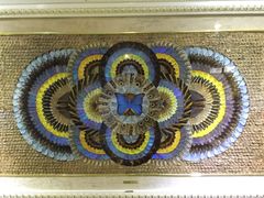 -上海昆虫博物馆