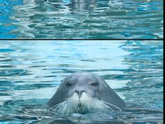 -大连老虎滩海洋公园