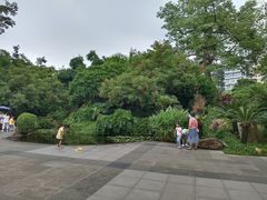 -晓港公园