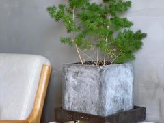 -亮河湾山庄