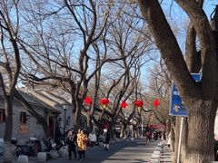 -北京国子监胡同