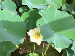 -廊坊文化艺术中心