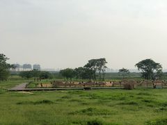 -盘龙城国家考古遗址公园