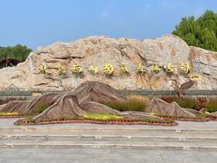 -北京西山国家森林公园