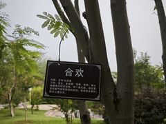 -燕郊植物园