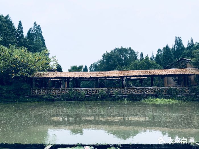 青城灣溼地莊園-圖片-都江堰市美食-大眾點評網