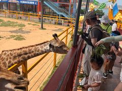 -西霞口神雕山野生动物世界