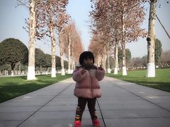 -重庆市江北嘴中央商务区中央公园