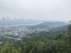 -MAMACHA妈妈茶(岳麓山店)