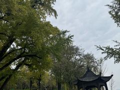 -千年银杏谷文化旅游区