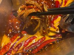 -小龙翻大江文化火锅(宽窄店)