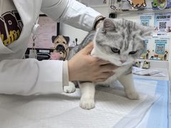 -美联众合动物医院·24h转诊中心