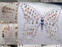 -四川大学博物馆