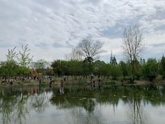 -两河城市森林公园