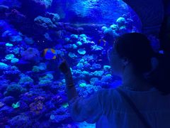 -太平洋海底世界