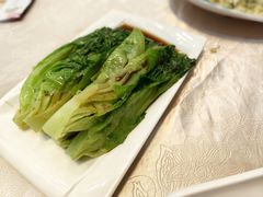 白灼有机生菜-荣华酒楼(鼎湖区店)
