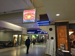 -达拉斯 沃斯堡国际机场