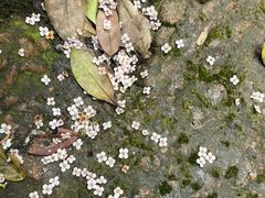 -南海湾森林生态园