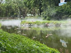-广州长隆飞鸟乐园