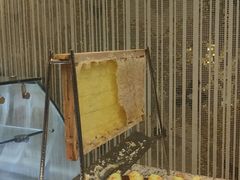 -怡豪大饭店·49楼旋转自助餐厅