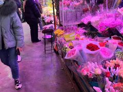 -花鸟鱼虫鲜花绿植市场(玉泉路店)