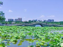 -济南大明湖景区