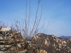-龙泉峪长城