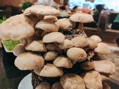 活体松香菇-捞神汤物料理(正大广场店)