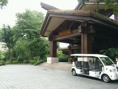 -青城道汤池