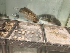 -金滏山烤肉·海鲜·火锅自助餐厅(襄阳万达店)