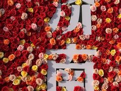 -金春禧(世茂国际广场店)