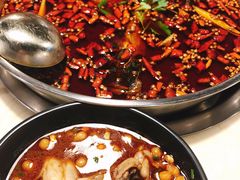 中辣锅底-味之绝热血美蛙鱼火锅(中坝店)