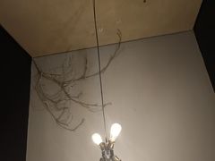 -滇铺子(欣都龙城店)