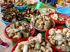 -南坛综合农贸市场