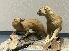 -大庆市博物馆