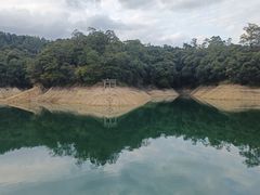 -广州市流溪河国家森林公园