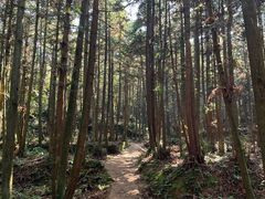 -大罗山风景区