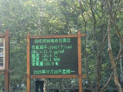 -汤旺河林海奇石景区