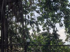 -太平山餐厅(山顶道店)