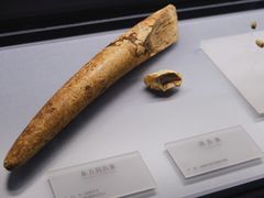 -湖南省地质博物馆
