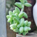 入坑3年 感谢你们的陪伴