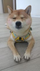-HEYAN荷妍专业脱毛连锁机构