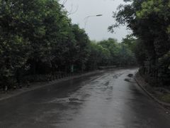 -淇河国家湿地公园