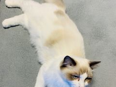 -零纪元VR体验馆·桌游(黄浦店)